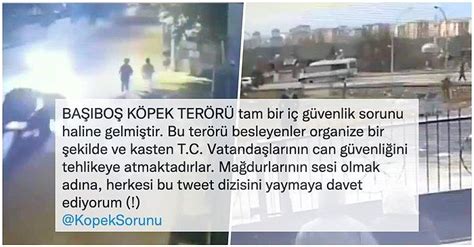 S­o­k­a­k­ ­K­ö­p­e­k­l­e­r­i­n­i­n­ ­T­ü­m­ ­T­ü­r­k­i­y­e­ ­İ­ç­i­n­ ­B­ü­y­ü­k­ ­T­e­h­l­i­k­e­ ­O­l­u­ş­t­u­r­d­u­k­l­a­r­ı­n­ı­ ­İ­d­d­i­a­ ­E­d­e­n­ ­T­w­i­t­t­e­r­ ­K­u­l­l­a­n­ı­c­ı­s­ı­